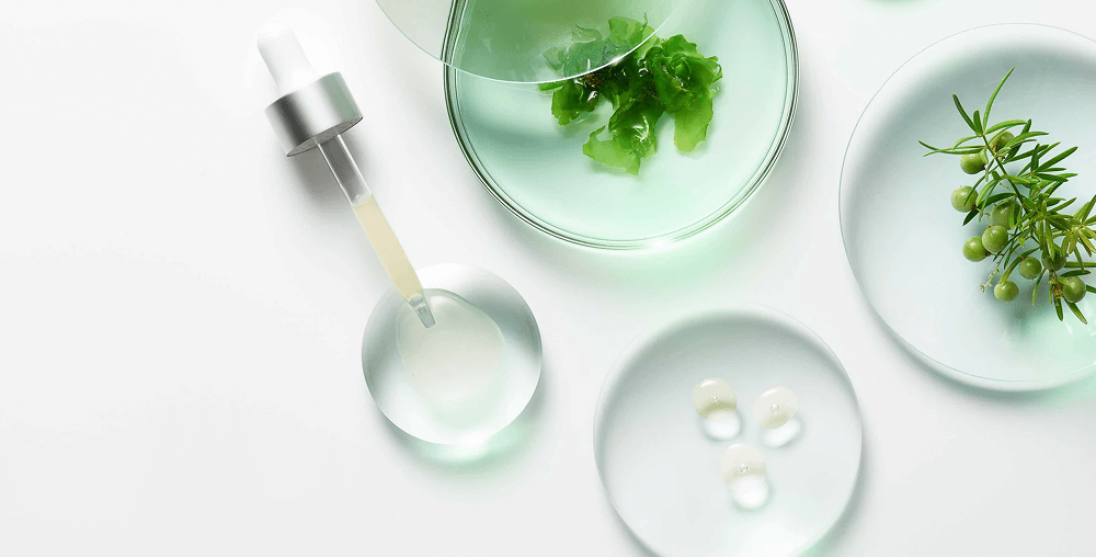 Peptonas y Péptidos: El Secreto de una Piel Firme